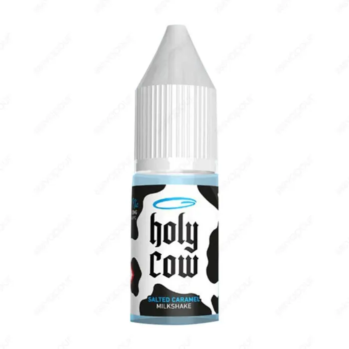 Holy Cow - Milkshake Series - Salted Caramel